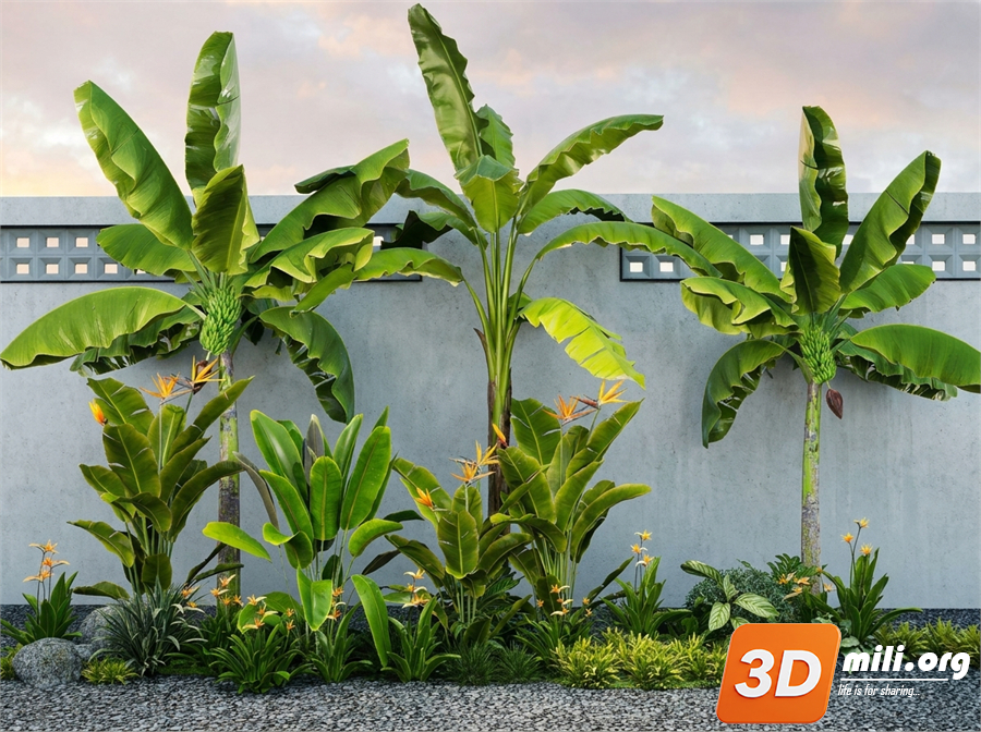 Mini Garden Skp Files 